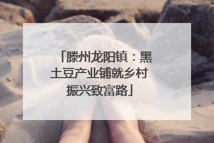 滕州龙阳镇：黑土豆产业铺就乡村振兴致富路
